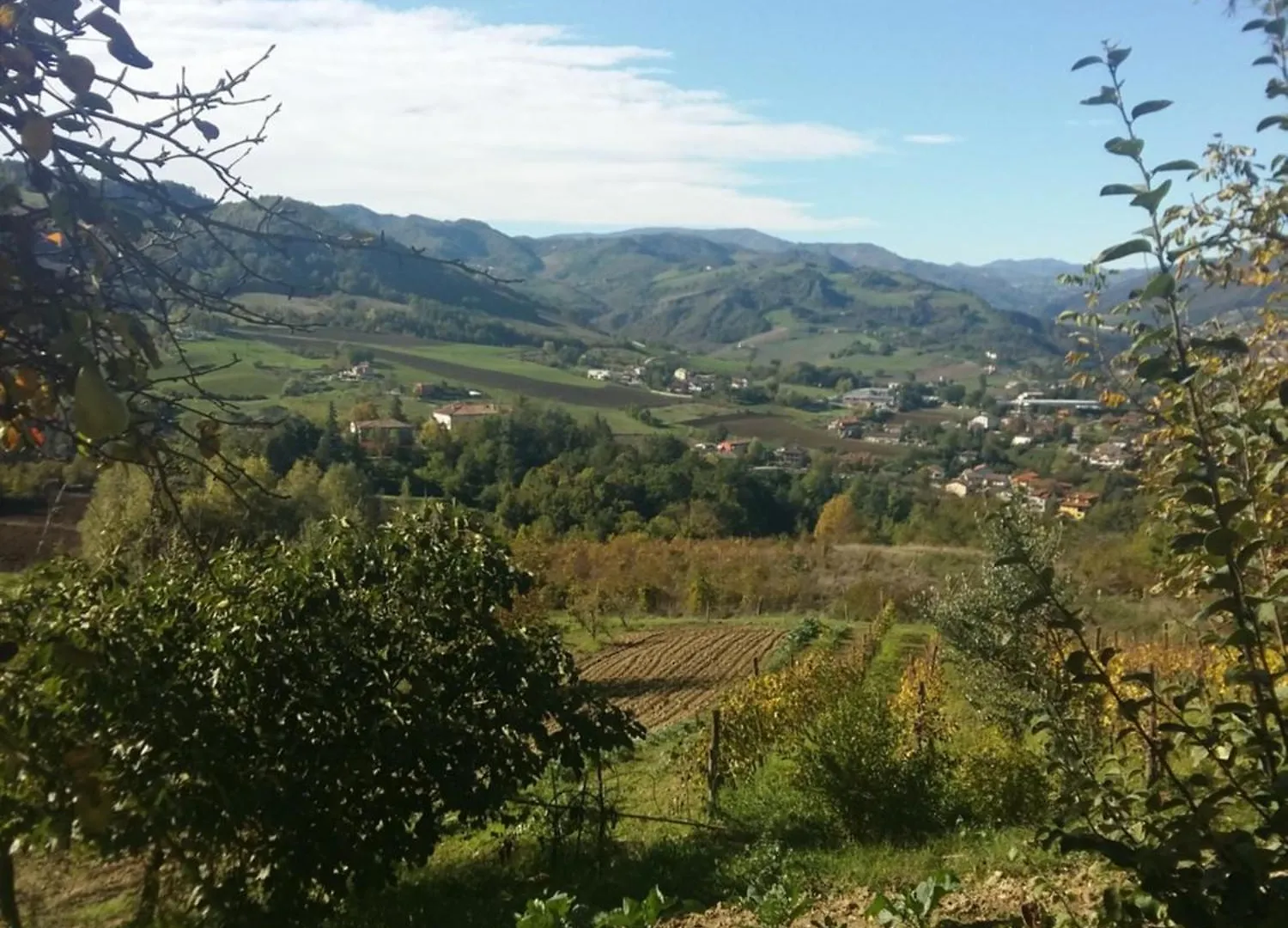 B&B Nido D'Ape Montepetra 0*,  Italia
