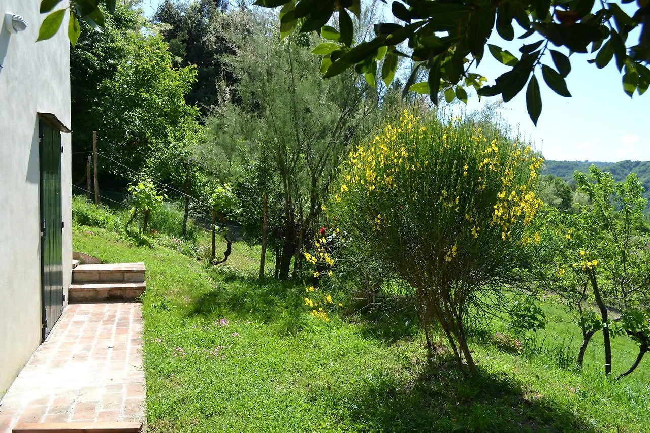 Bed & Breakfast B&B Nido D'Ape Montepetra