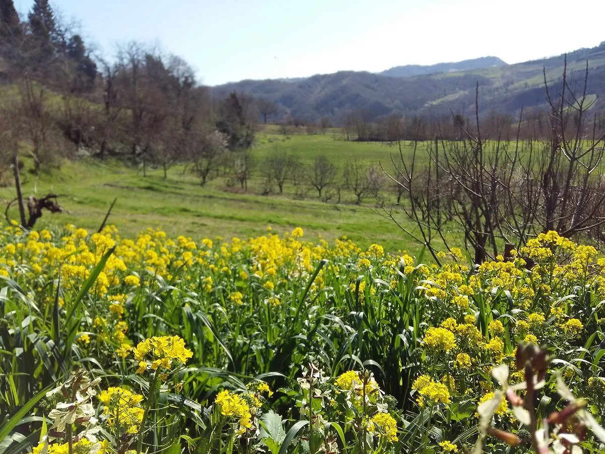 Montepetra Nido D'Ape Bed And Breakfast איטליה