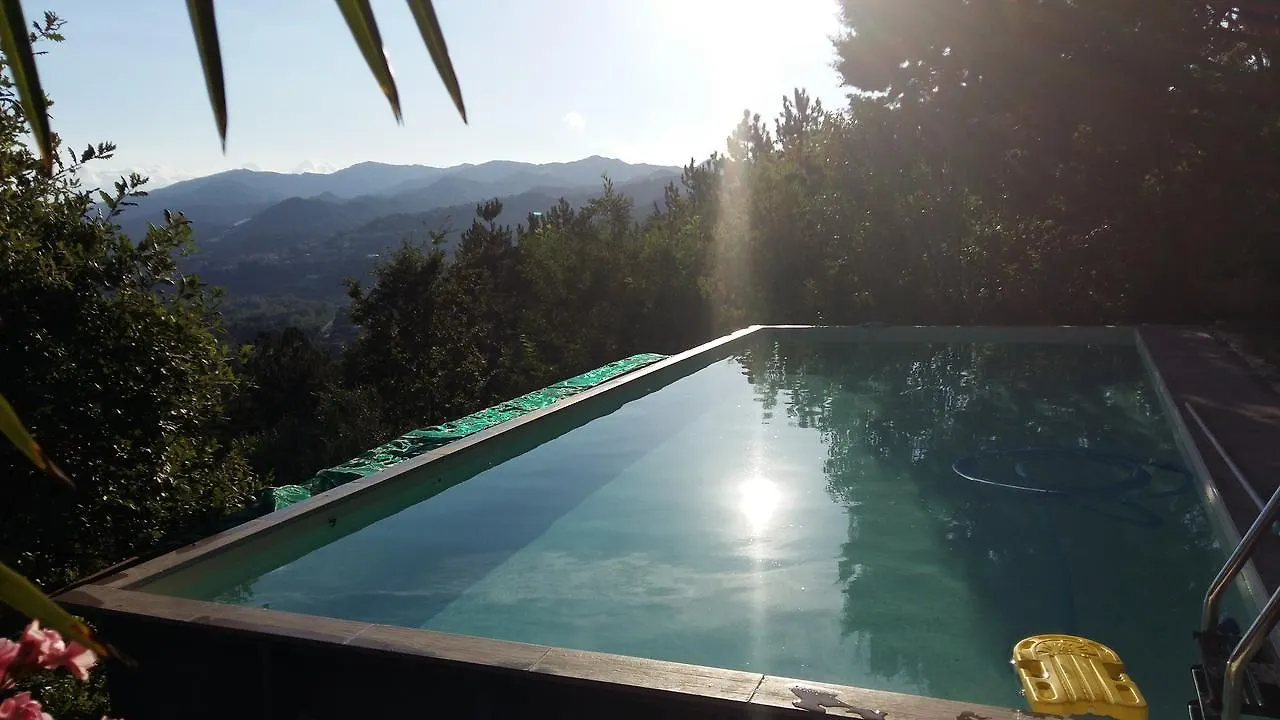 לינה וארוחת בוקר Montepetra Nido D'Ape Bed And Breakfast
