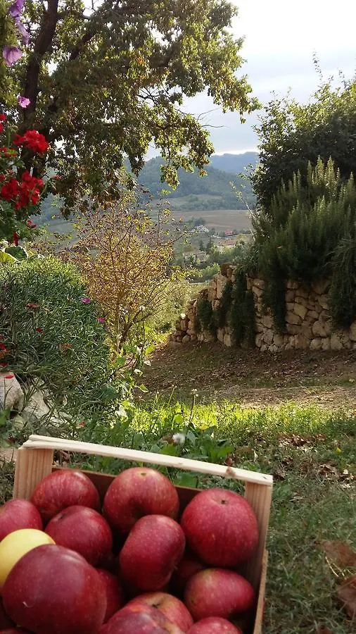 Bed & Breakfast B&B Nido D'Ape Montepetra