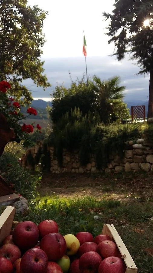 B&B Nido D'Ape Montepetra Italia
