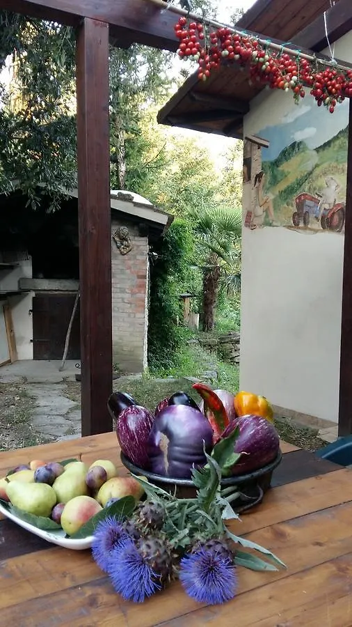 B&B Nido D'Ape Montepetra Bed & Breakfast
