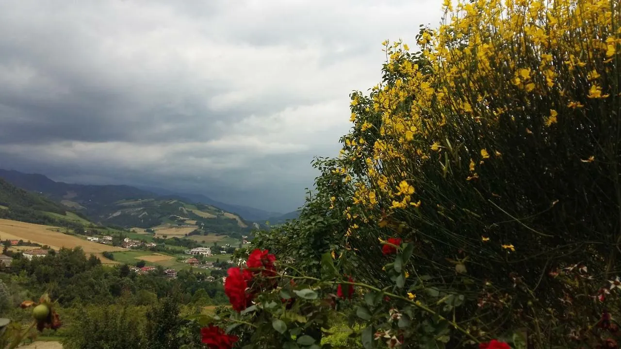Bed & Breakfast B&B Nido D'Ape Montepetra